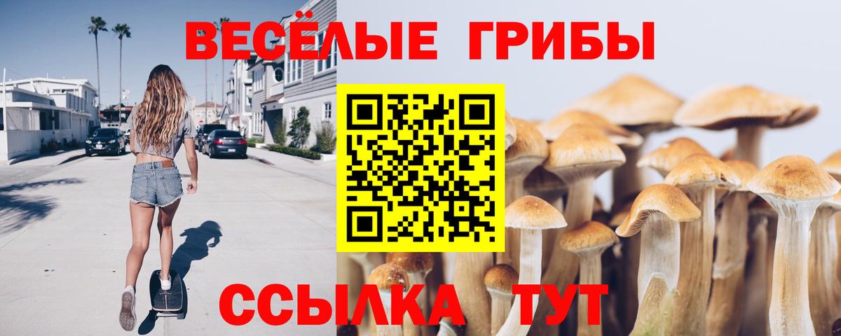 Красноармейск  Галлюциногенные грибы мицелий  Вход с VPN 